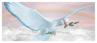 DNSEMP-L-116-D-PK Dove Clouds Pink